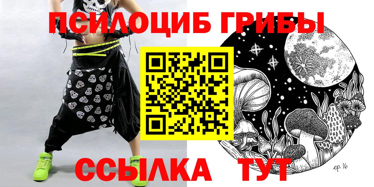 Галлюциногенные грибы Cubensis Зима