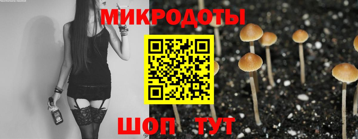 Зима  где купить наркоту  Вход с VPN  Псилоцибиновые грибы Psilocybine cubensis 